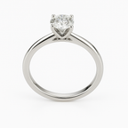 Orli Moissanite Diamond Ring (2)